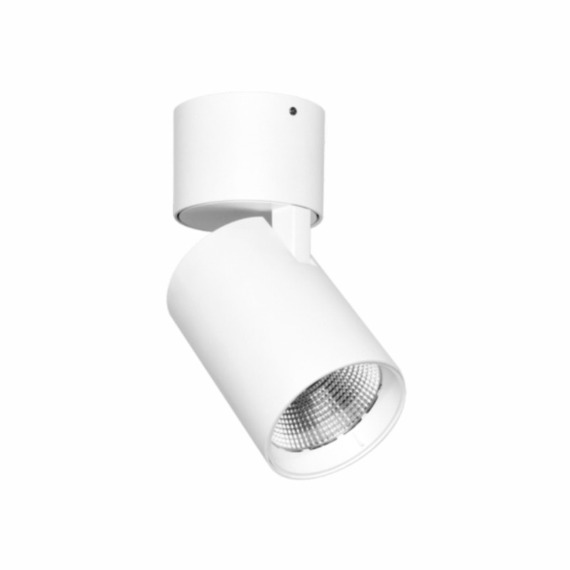 Proyector LED Nox 30W blanco Beneito Faure