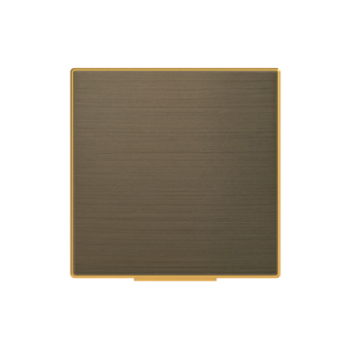 Tapa Schuko con cubierta abatible de la serie SKY color oro envejecido 8588.1 OE