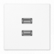 Placa USB 2.0 2 tomas LS blanco alpino MALS1153WW