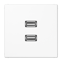 Placa USB 20 2 tomas LS blanco alpino  JUNG JUNMALS1153WW