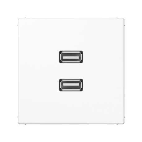 Placa USB 2.0 2 tomas LS blanco alpino MALS1153WW