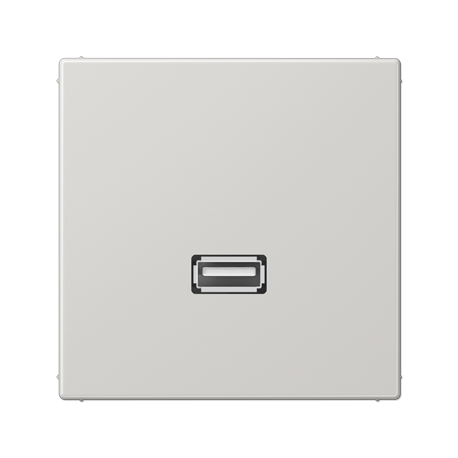 Placa USB 20 LS gris claro  JUNG JUNMALS1122LG